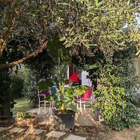 La Maison Sous L'Olivier Villa Morieres-les-Avignon Buitenkant foto