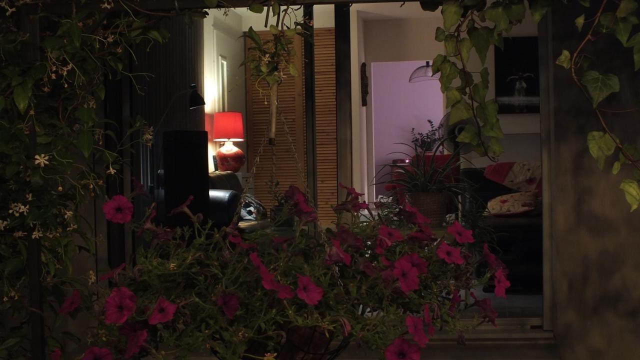 La Maison Sous L'Olivier Villa Morieres-les-Avignon Buitenkant foto