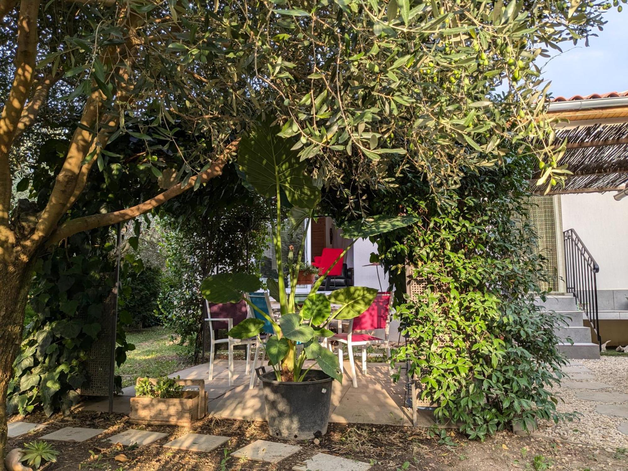 La Maison Sous L'Olivier Villa Morieres-les-Avignon Buitenkant foto